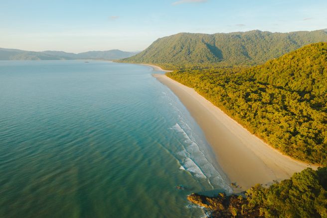 Cairns Cape Tribulation & Daintree Rainforest Tour - Small Group