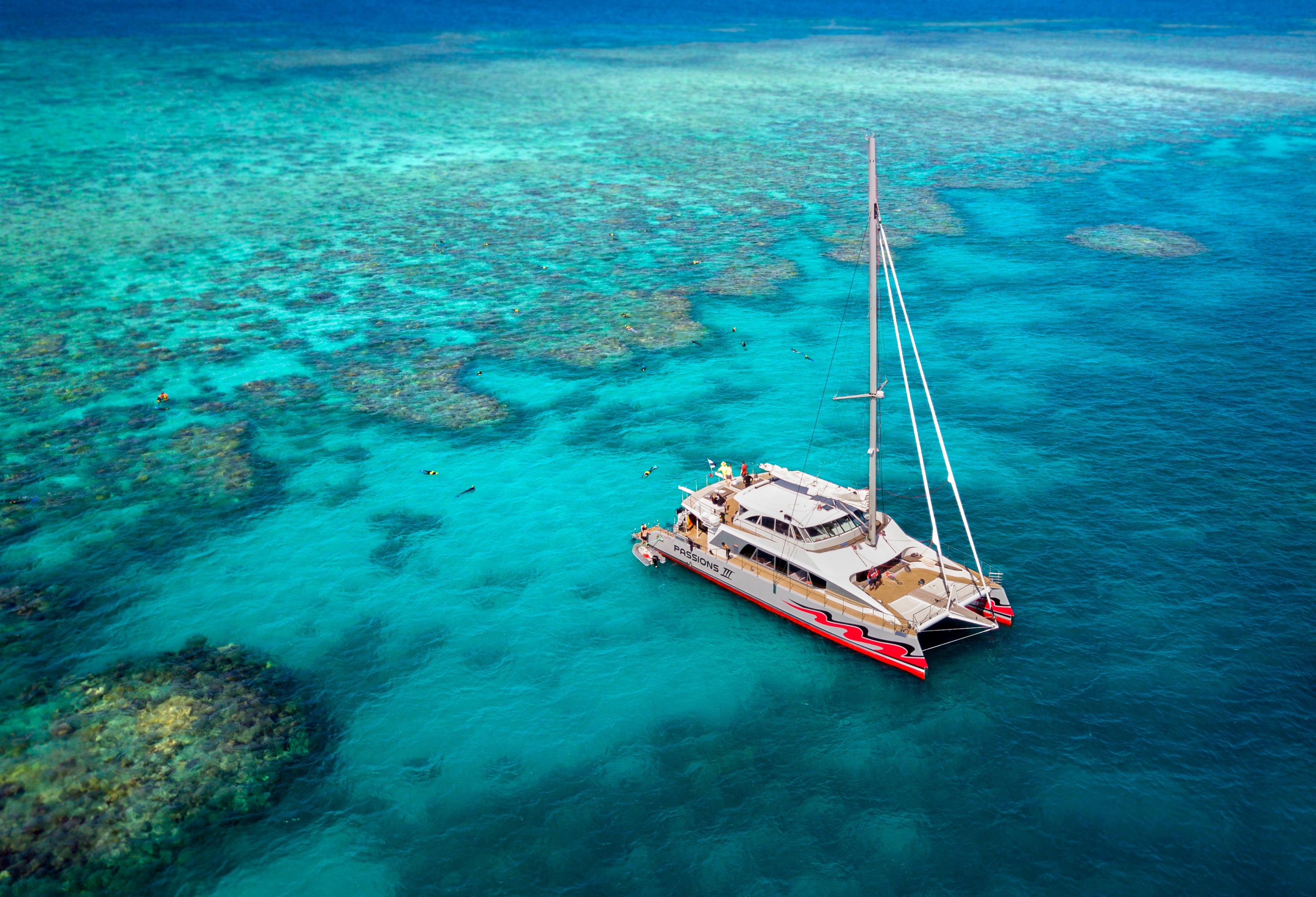 Cairns Premium Catamaran Great Barrier Reef Cruise