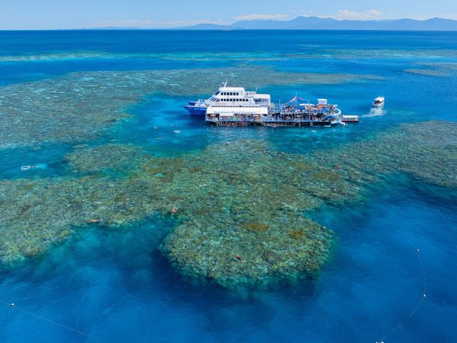 Cairns Sunlover Moore Reef Pontoon Day Cruise