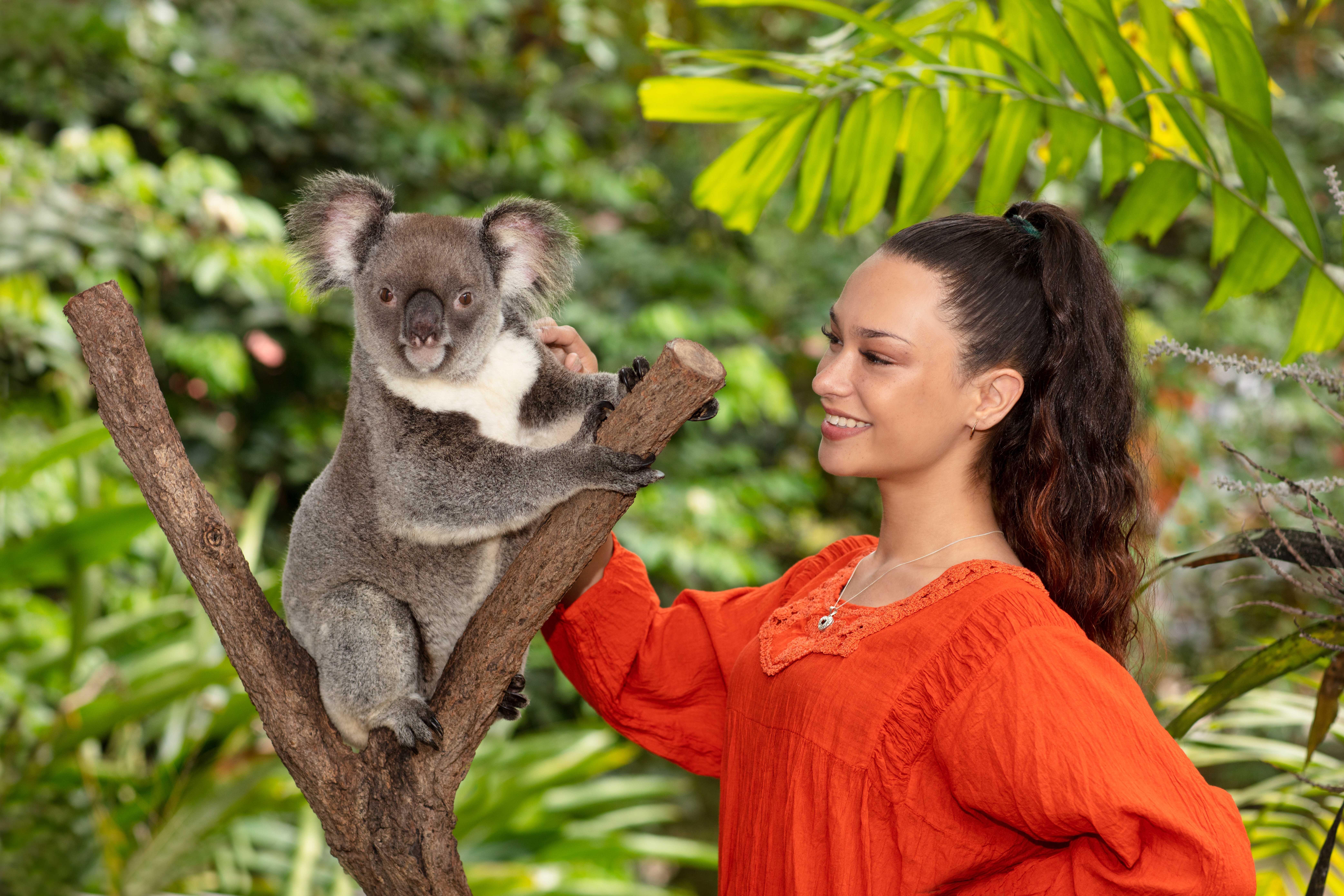 Cairns Kuranda Koala Gardens Wildlife Park Admission Ticket