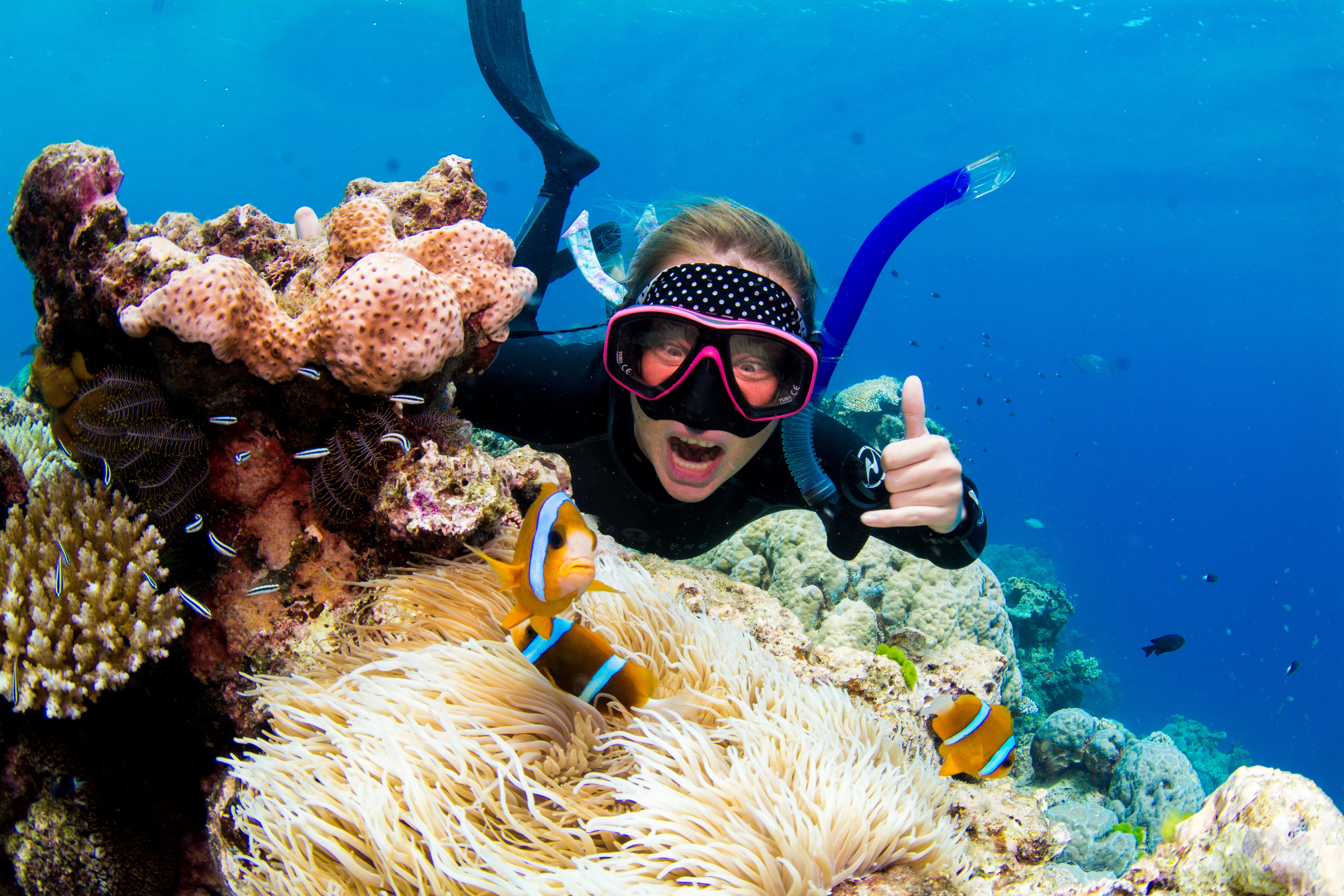 Cairns Divers Den Great Barrier Reef Snorkeling & Diving Day Tour