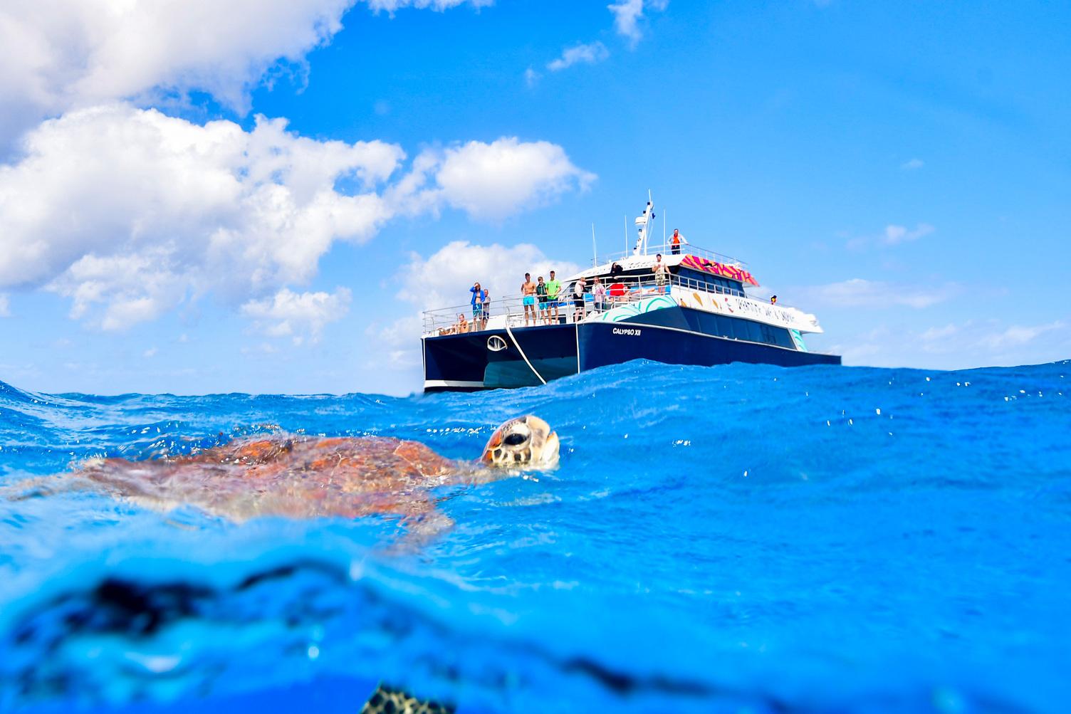 Cairns Dreamtime Great Barrier Reef Snorkel & Dive with Aboriginal Culture