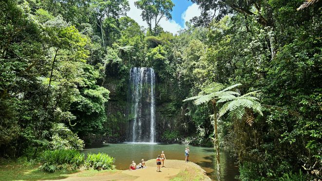 From Cairns: Atherton Tablelands & Paronella Park Day Tour - Small Group