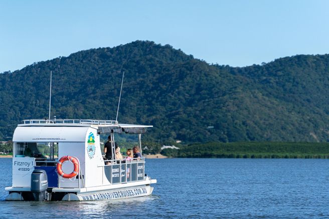 Cairns Trinity Inlet Mangrove River Cruise