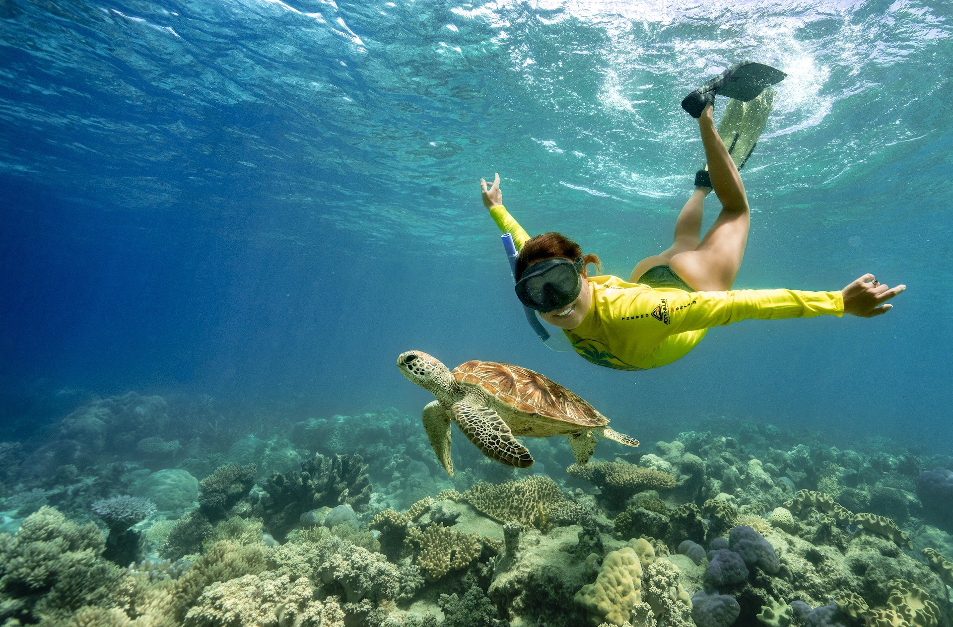 Cape Tribulation Ocean Safari Reef Snorkeling Tour - Small Group