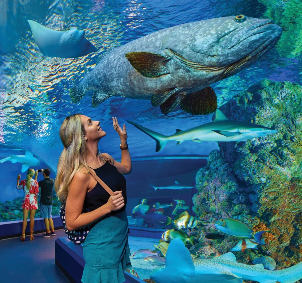 Cairns Aquarium General Admission Ticket