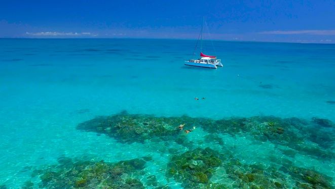 Cairns Reef Daytripper Upolu Reef Snorkeling Tour - Small Group