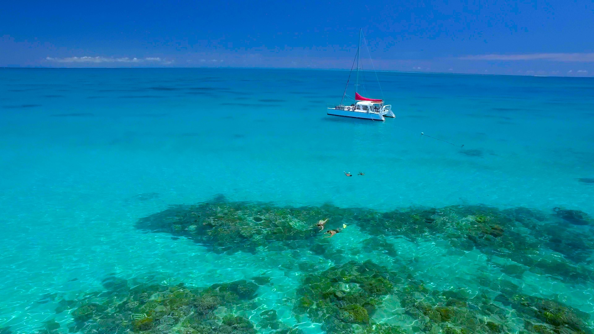 Cairns Reef Daytripper Upolu Reef Snorkeling Tour - Small Group