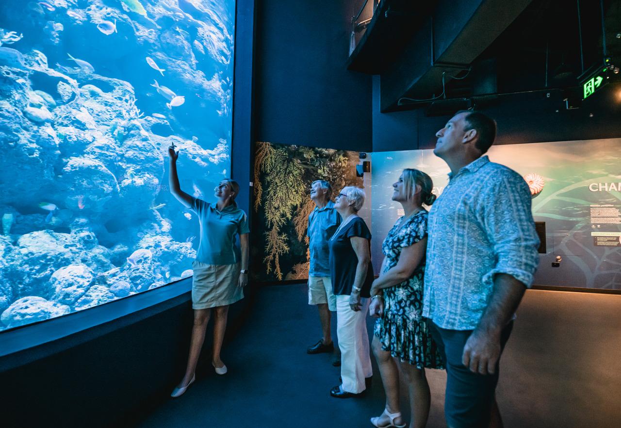 Cairns Aquarium Night Guided Tour