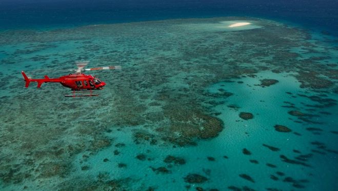 Port Douglas: Great Barrier Reef Scenic Helicopter Flight