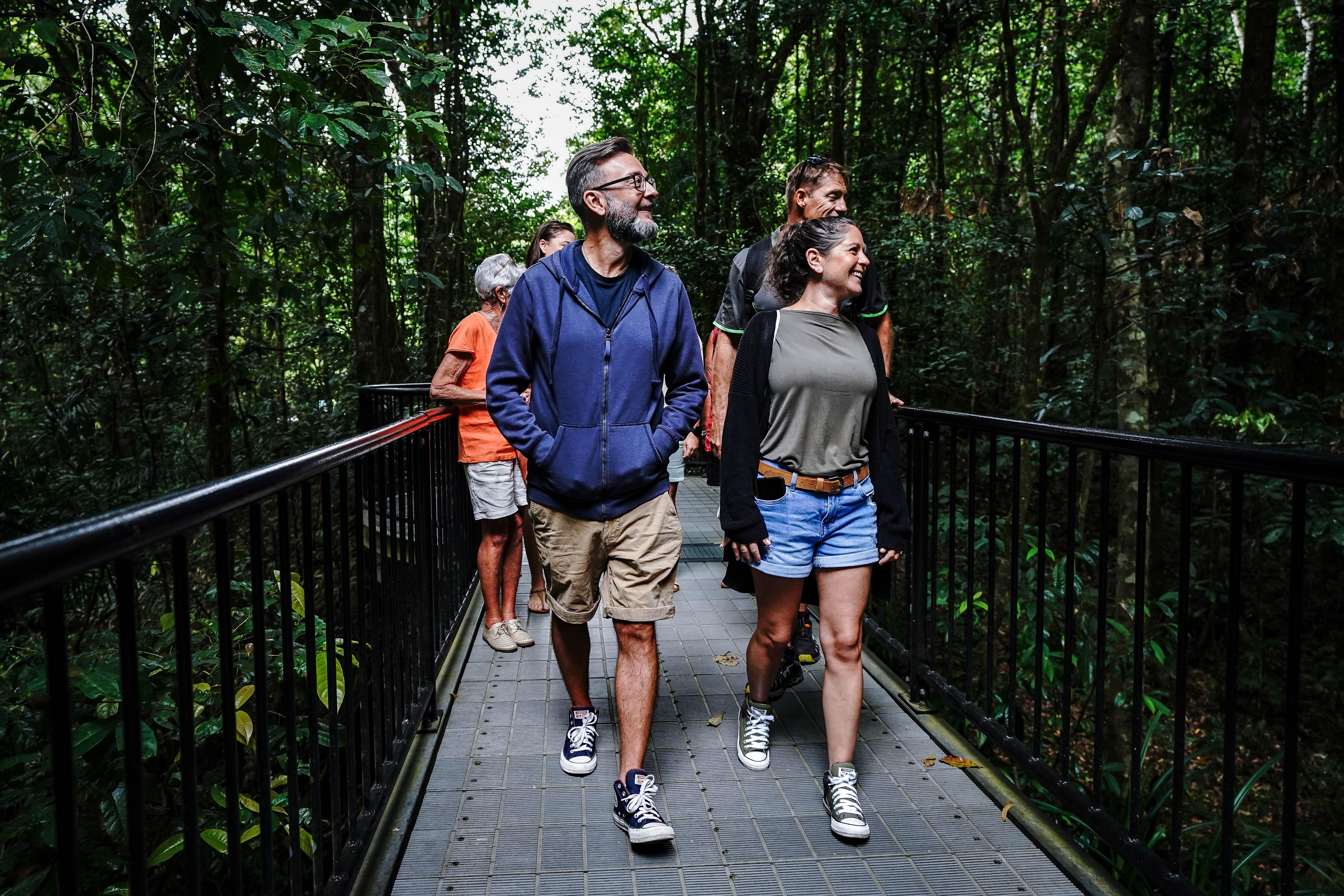 From Port Douglas: Afternoon Daintree Tour & Wildlife Cruise