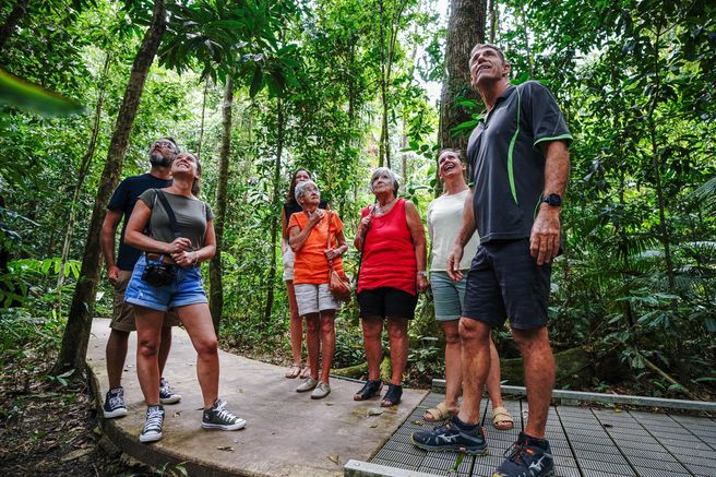 From Port Douglas: Daintree Rainforest Day Tour - Small Group