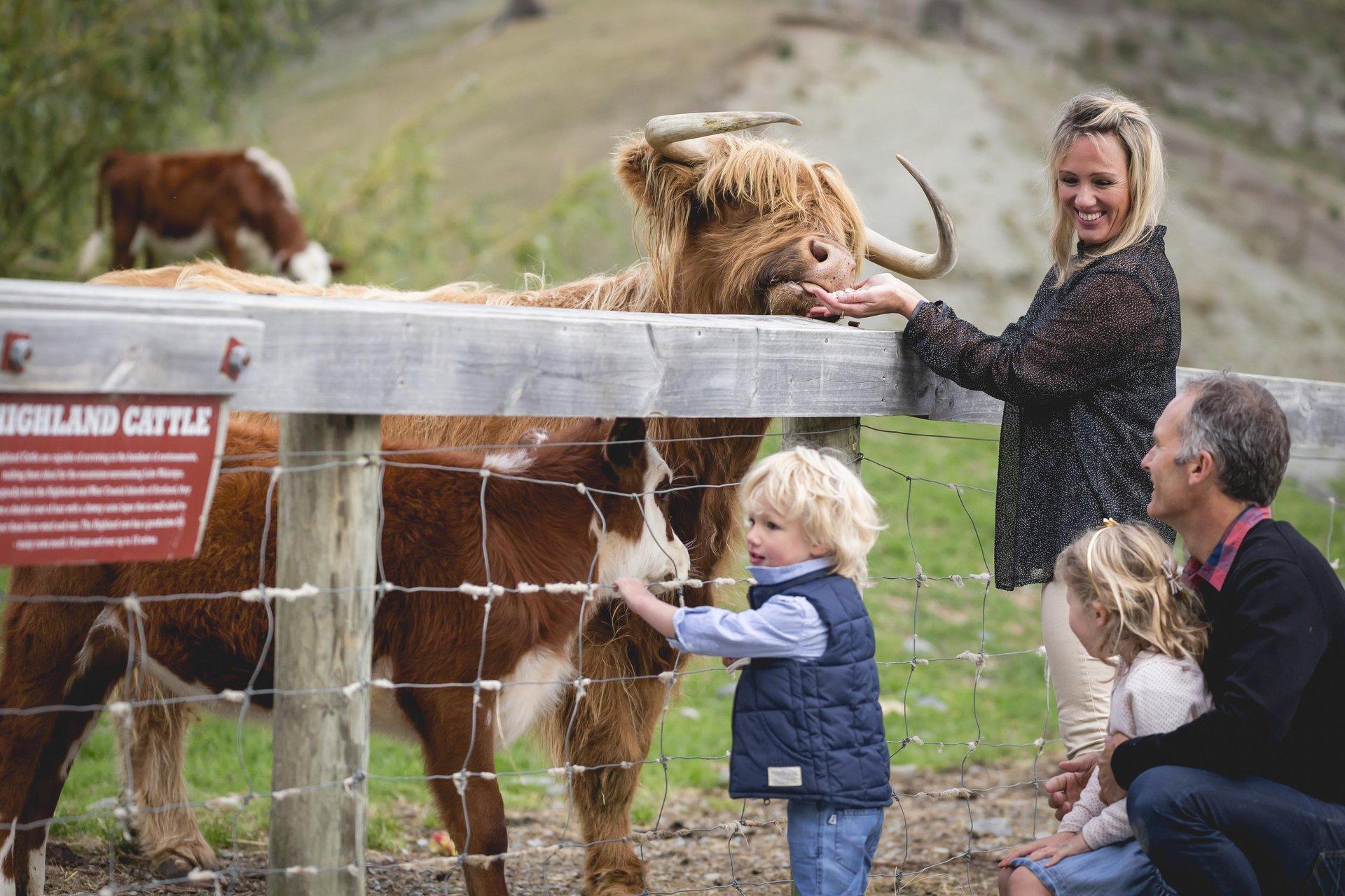 Queenstown Lake Wakatipu Cruise & Walter Peak Farm Tour