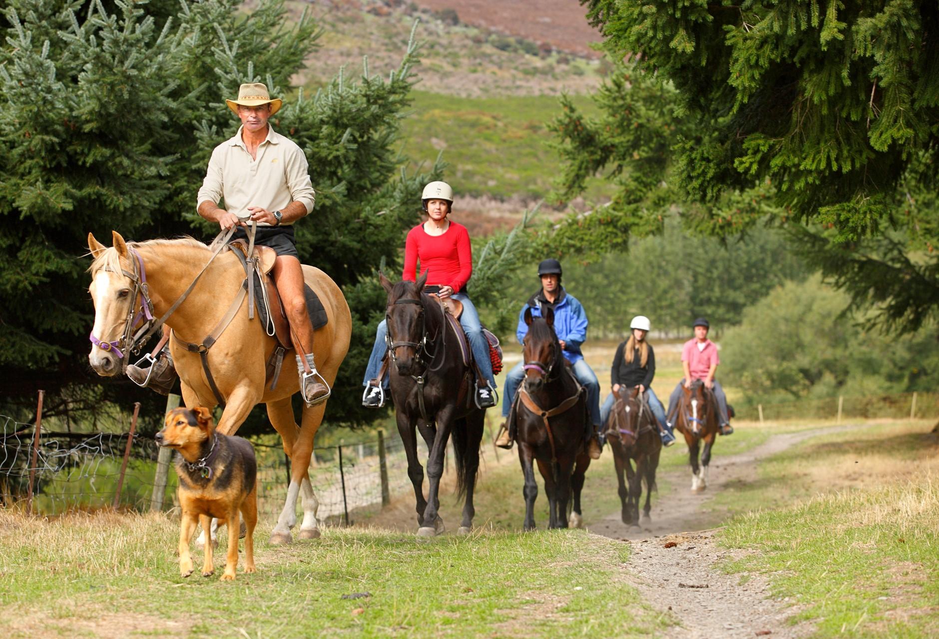 Queenstown Walter Peak Horse Trek & Lake Wakatipu Cruise - Small Group