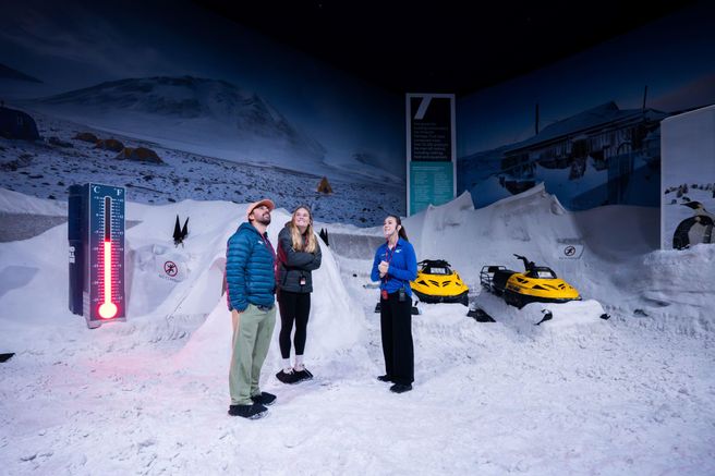 Christchurch International Antarctic Centre Guided Tour - Admission Included