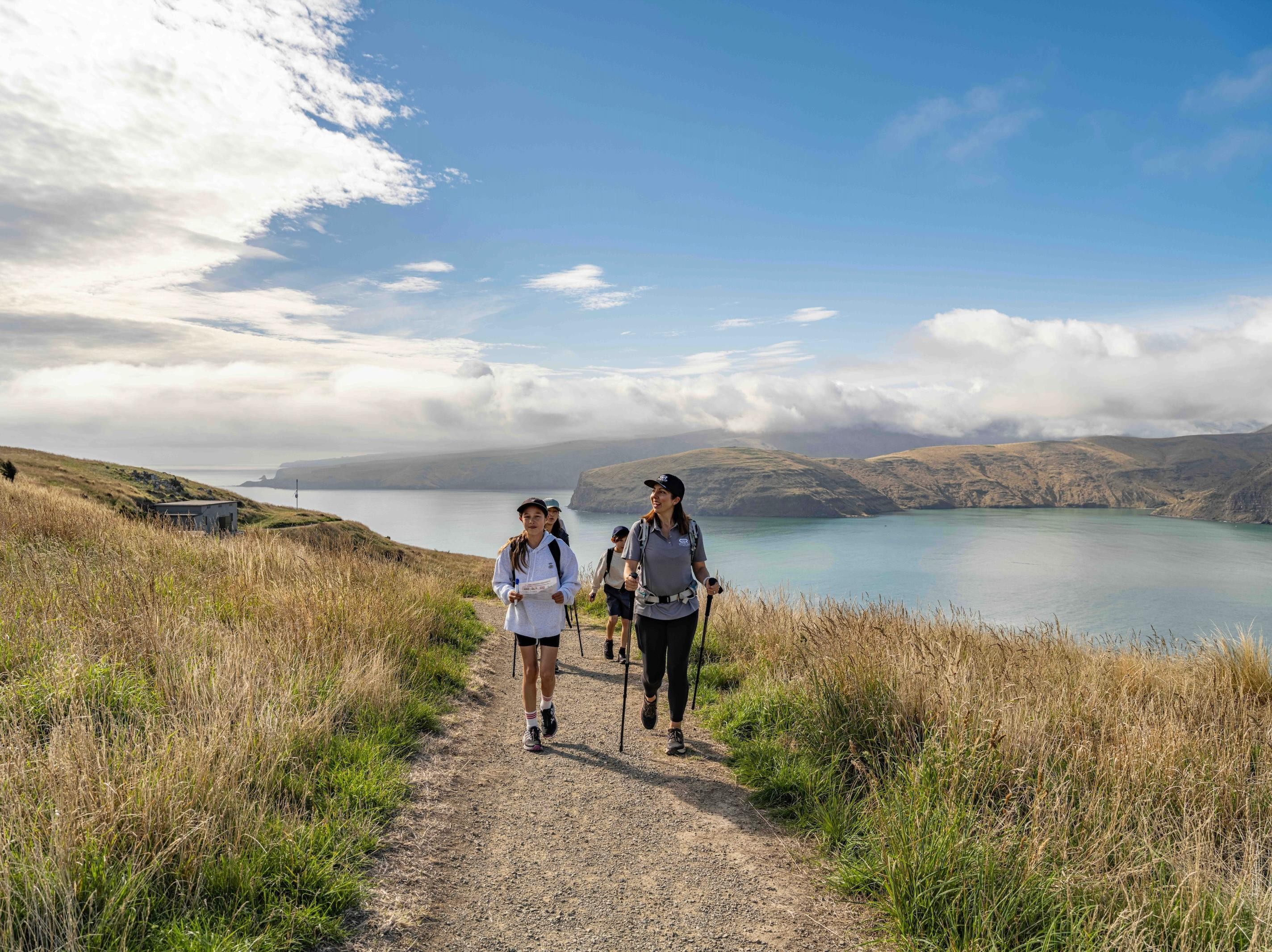 Christchurch Godley Head Coastal Hiking Tour