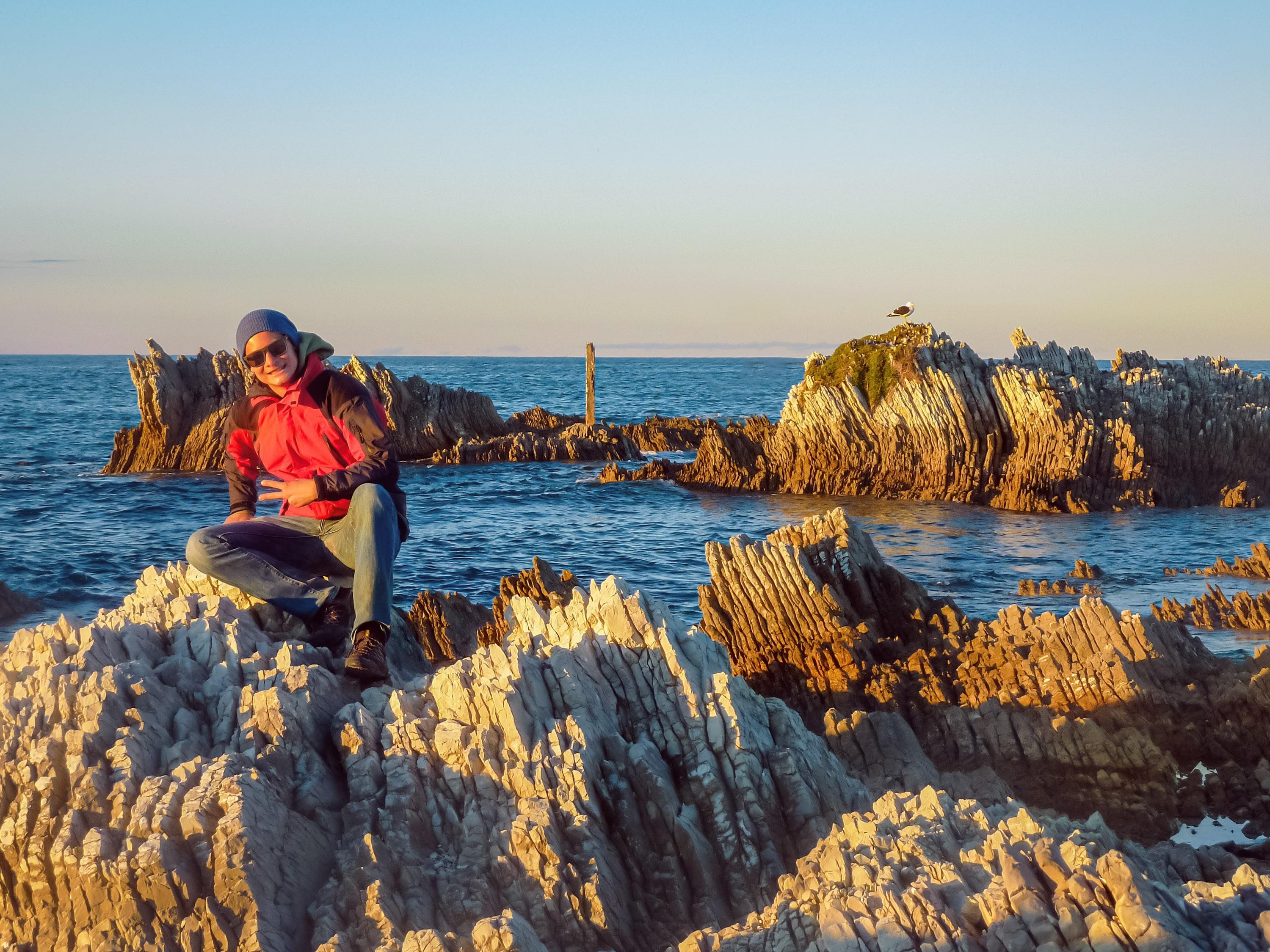 From Christchurch: Kaikoura Day Tour - Small Group