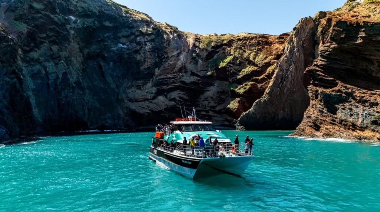 From Christchurch: Akaroa Day Tour - Nature Cruise Included