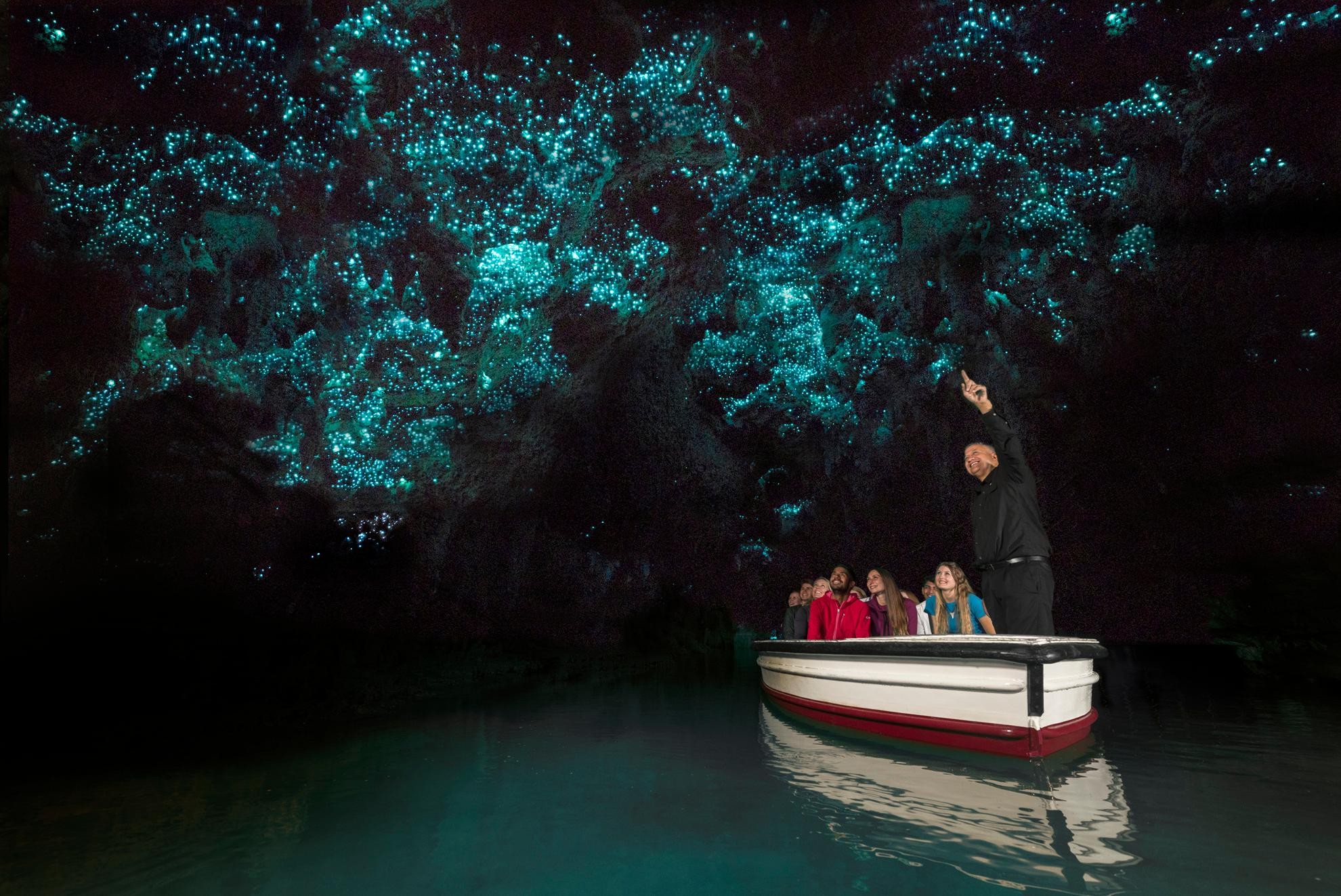 From Auckland: Waitomo Glowworm Caves Day Tour - Hotel Pickup