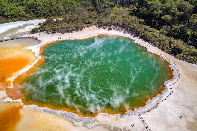 From Auckland: Rotorua Wai-O-Tapu & Choice of Afternoon Activity Day Tour - Small Group