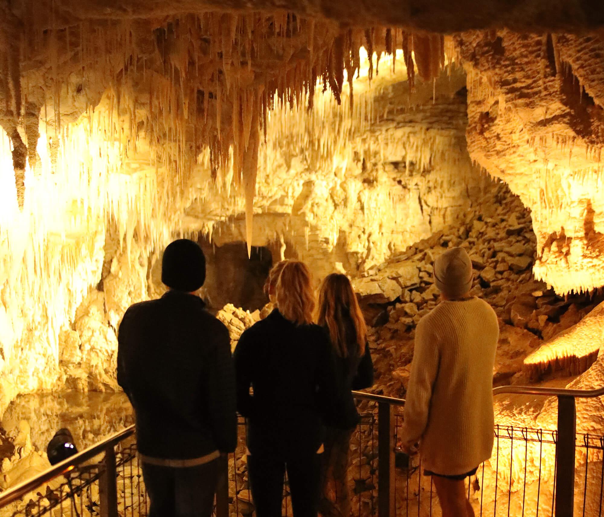 From Auckland: Waitomo Glowworm Caves & Rotorua Te Puia Day Tour - Hotel Pickup