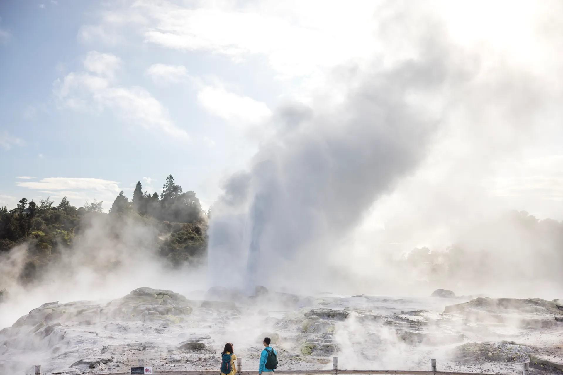 From Auckland: Rotorua Te Puia, Redwoods & Blue Springs Day Tour