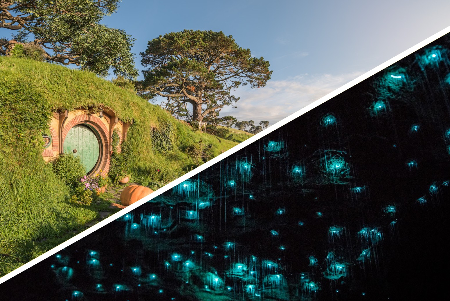 From Auckland: One-Way Tour to Rotorua via Hobbiton & Waitomo