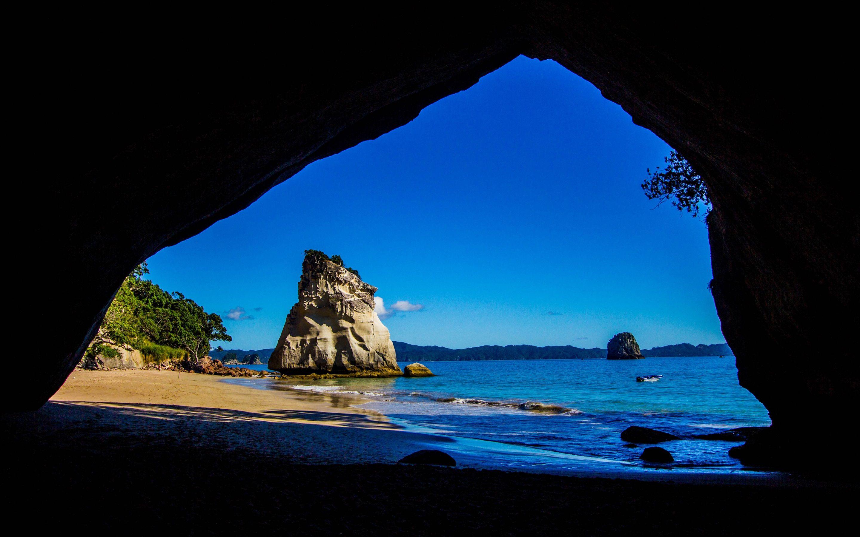 From Auckland: Cathedral Cove & Hot Water Beach Day Tour - Hotel Pickup