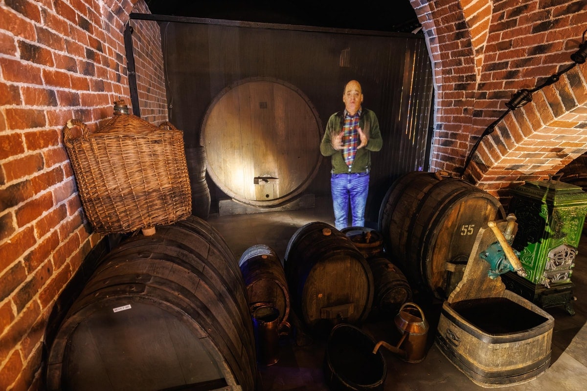 Colmar Alsace Wine Museum Ticket - Wine Tasting & Audio Guide