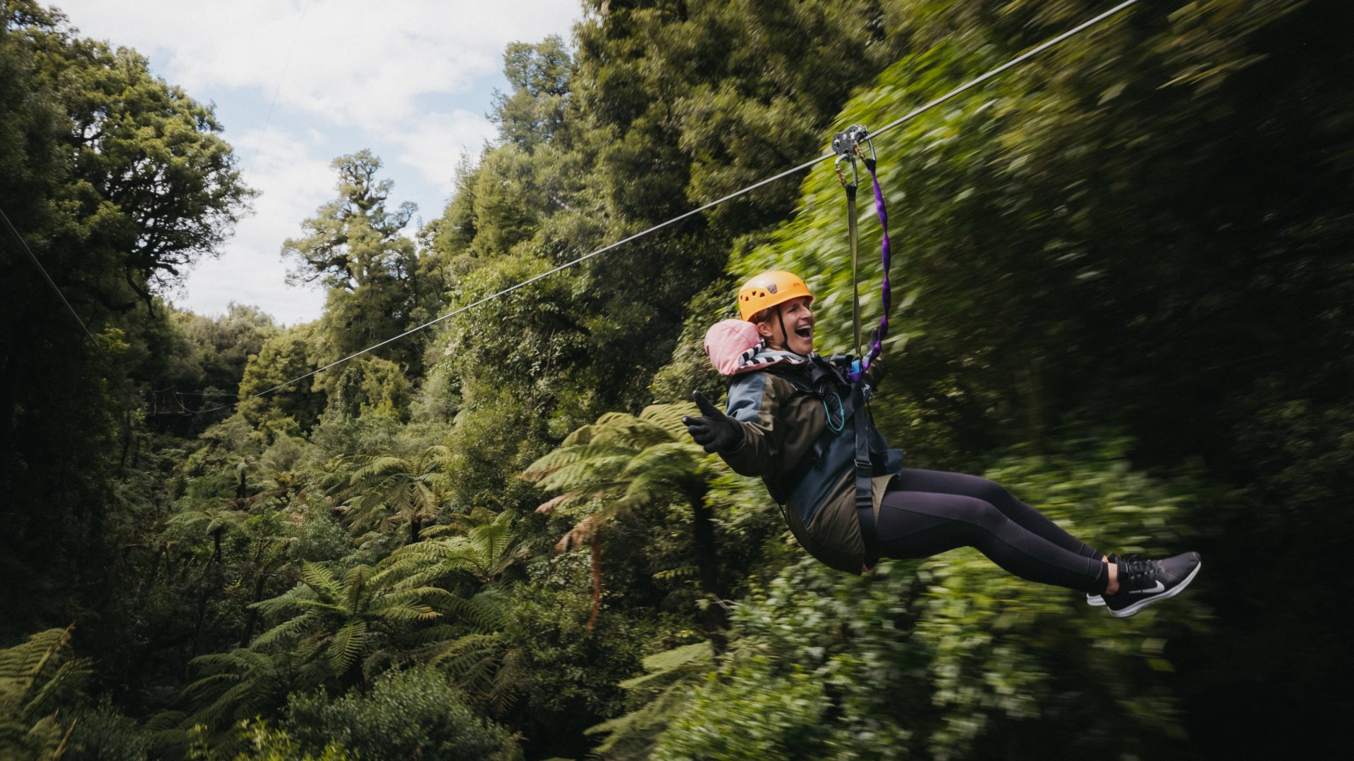 Rotorua Ancient Forest Canopy Zipline Tour - Small Group