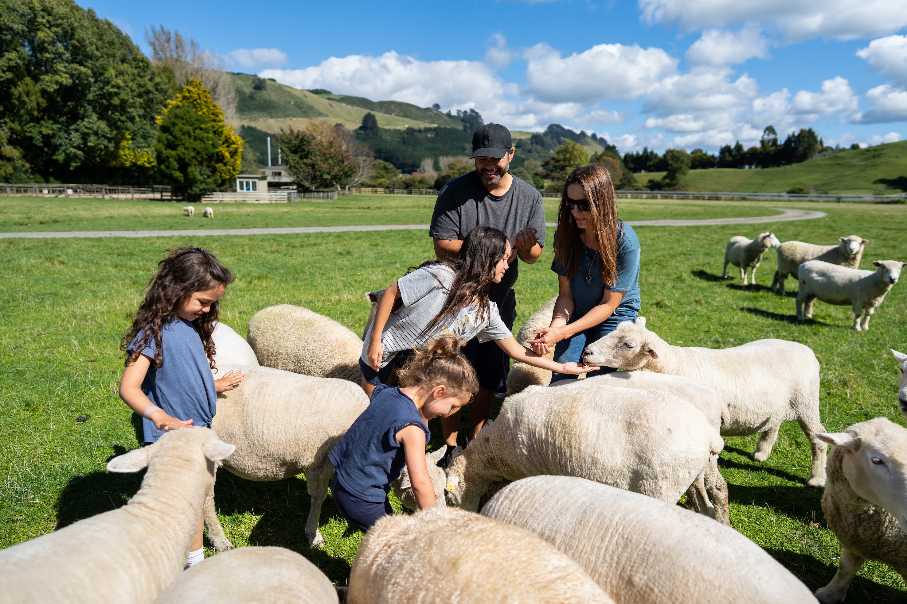Rotorua Agrodome Farm Show & Tractor Farm Tour