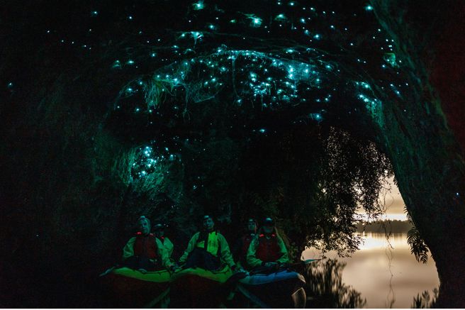 Rotorua Lake Glowworm Cave Night Kayak Tour - Return Transfer