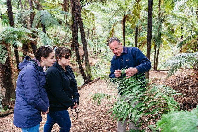 Rotorua Lakes and Hamurana Springs Half-Day Tour - Small Group