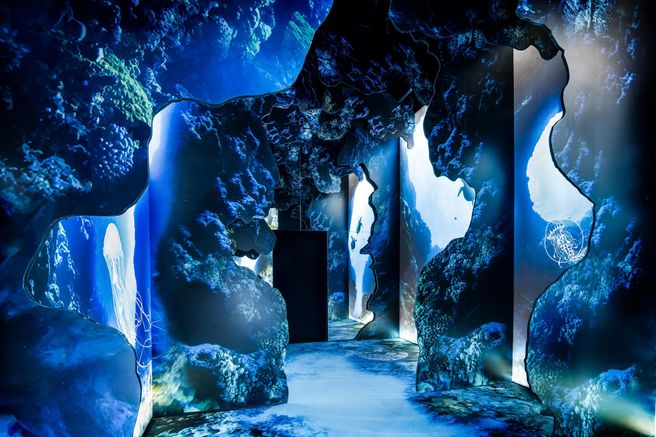 Toronto Arcadia Earth Immersive Experience Anytime Ticket
