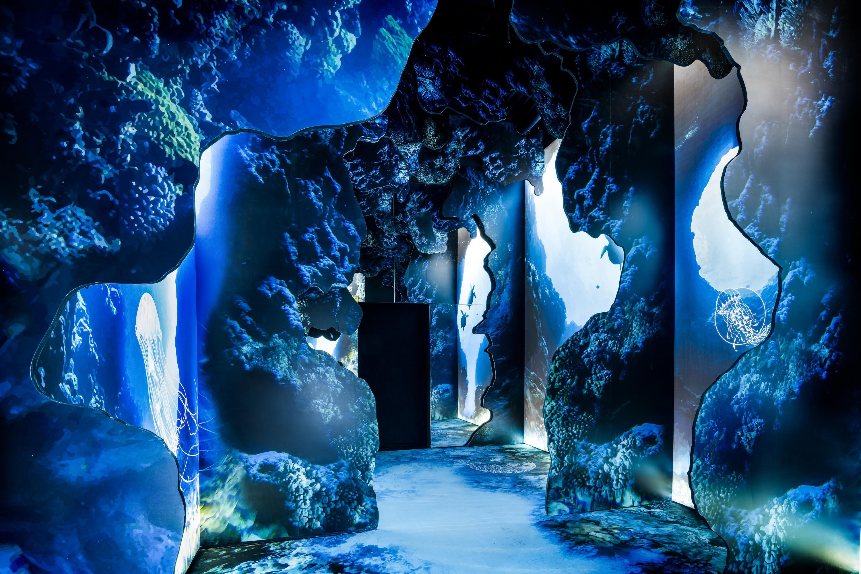 Toronto Arcadia Earth Immersive Experience Anytime Ticket