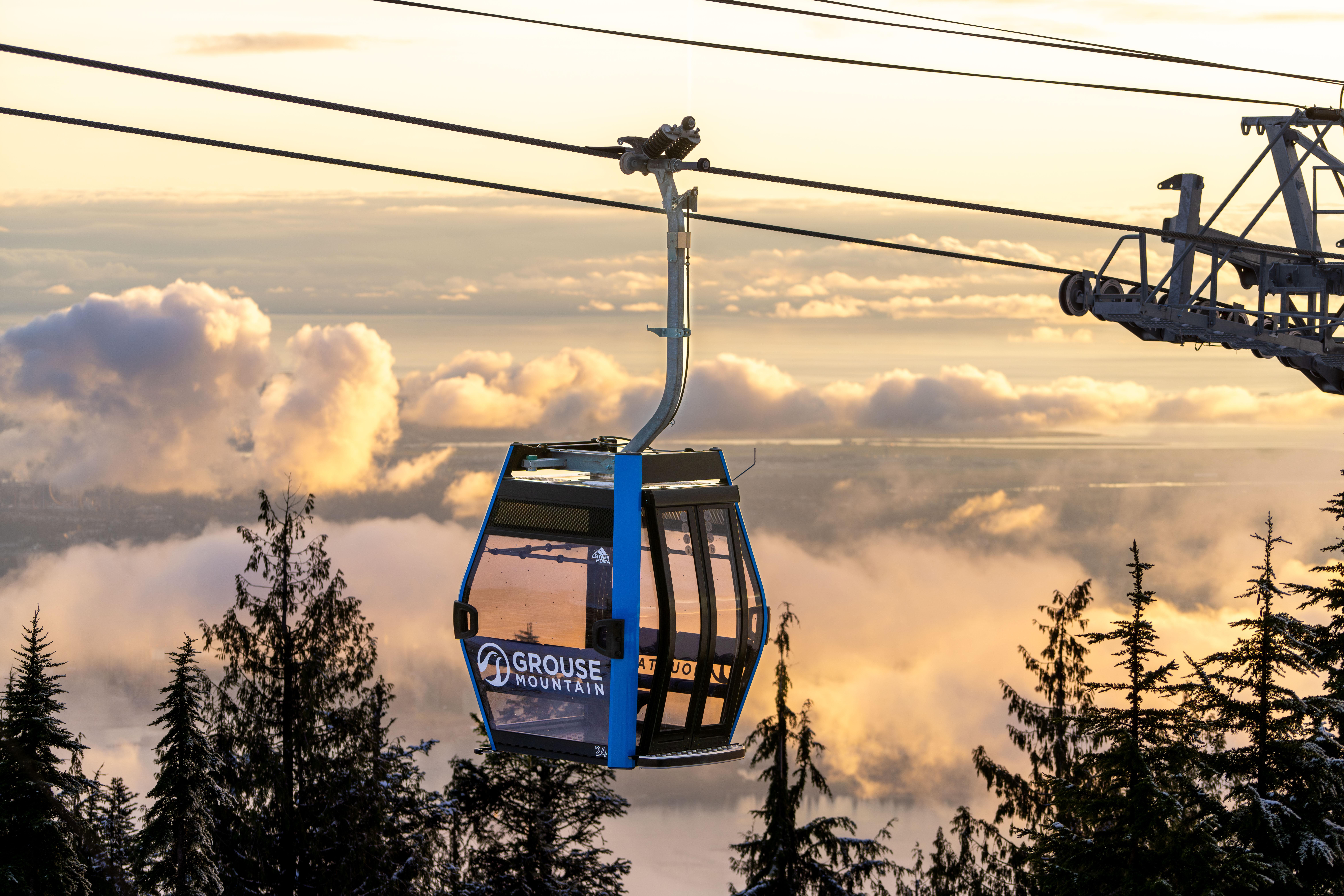 Vancouver Grouse Mountain & Capilano Suspension Bridge Tour - Hotel Pickup