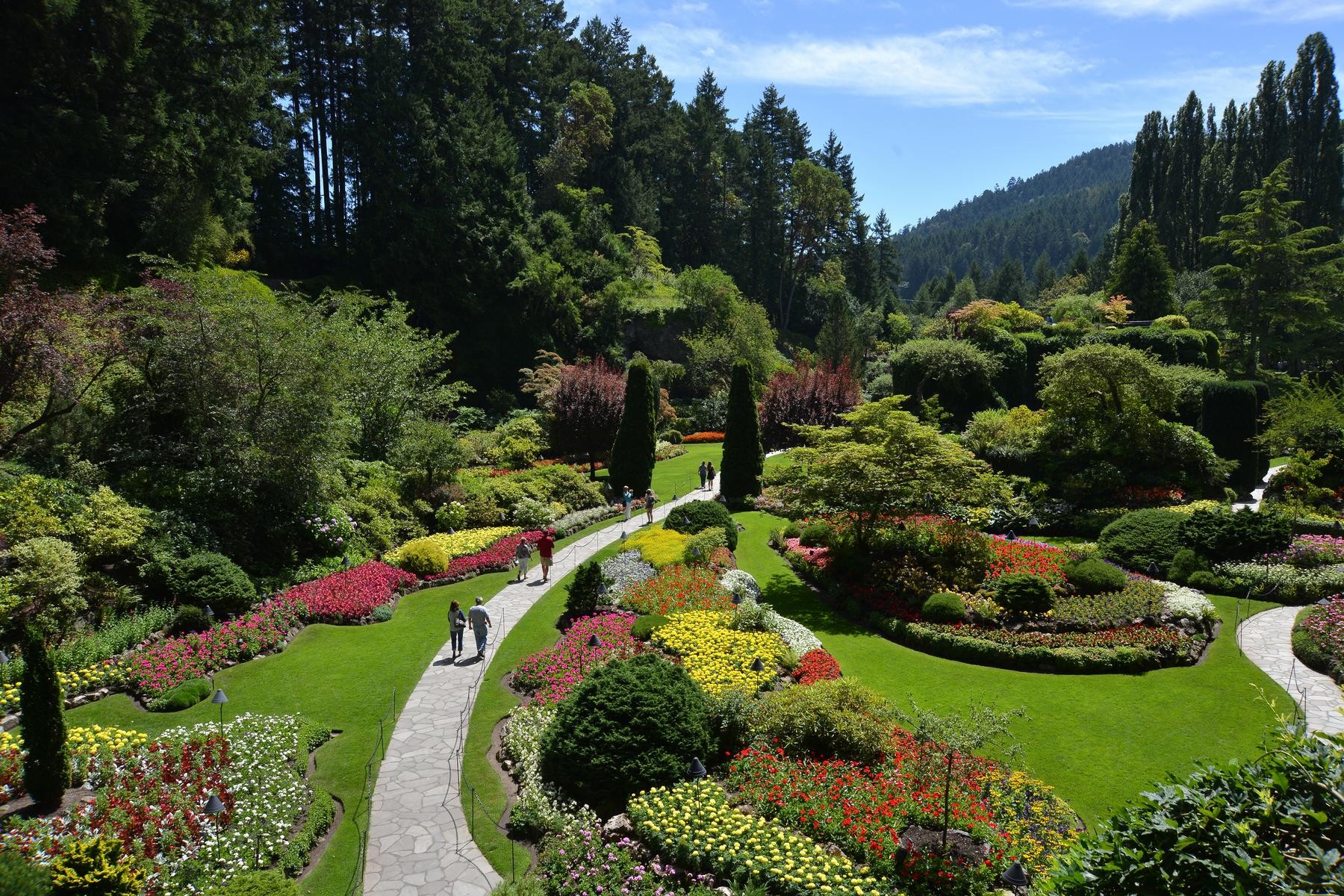 From Victoria: Butchart Gardens & City Guided Tour - Admission Included