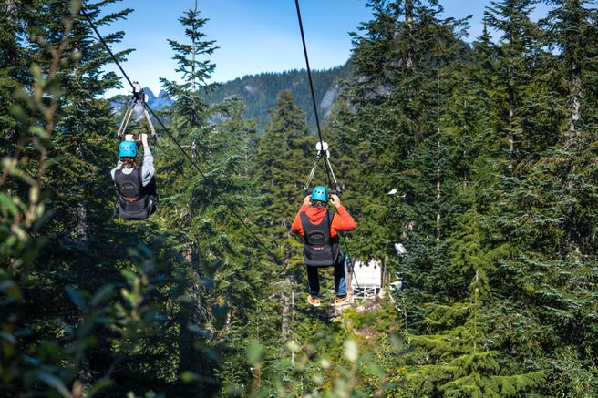 Vancouver Grouse Mountain Gondola Tour - Small Group