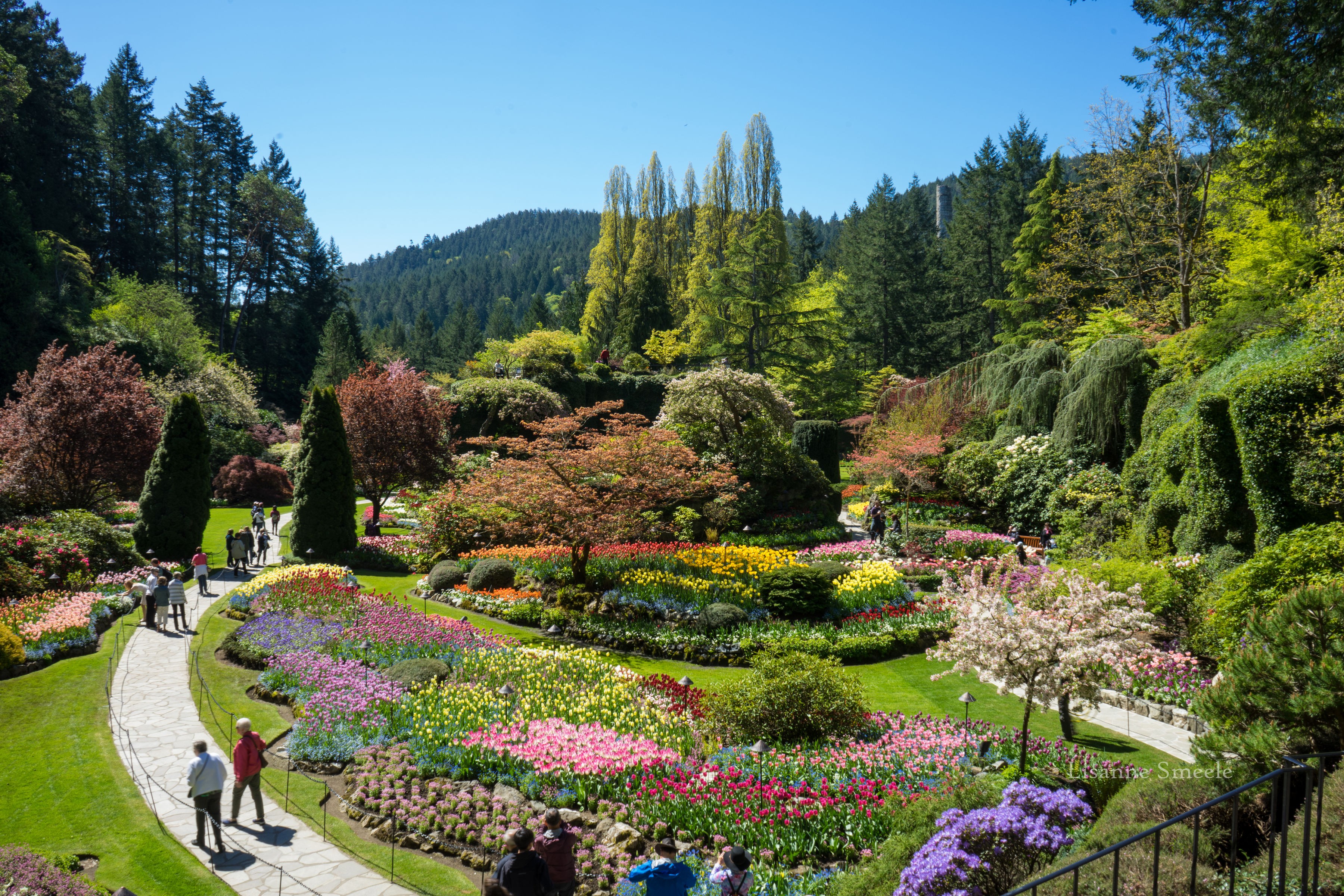 From Vancouver: Butchart Gardens & Victoria Minibus Day Tour