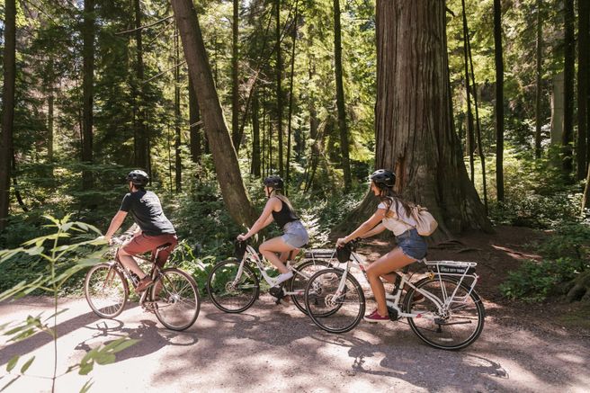 Vancouver City Highlights E-Bike Tour - Small Group