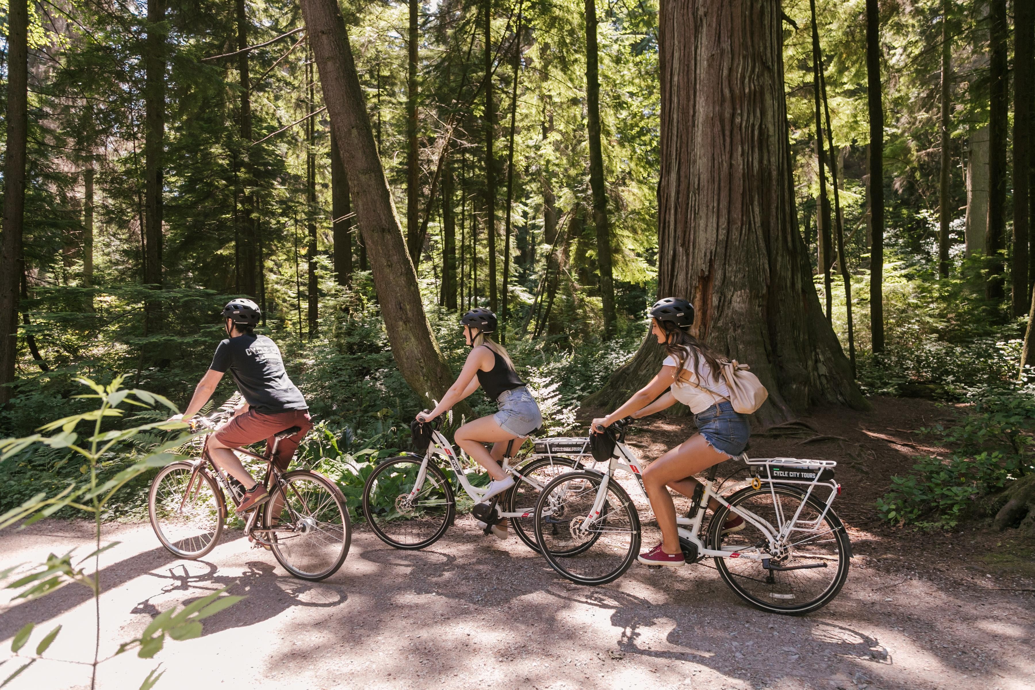 Vancouver City Highlights E-Bike Tour - Small Group