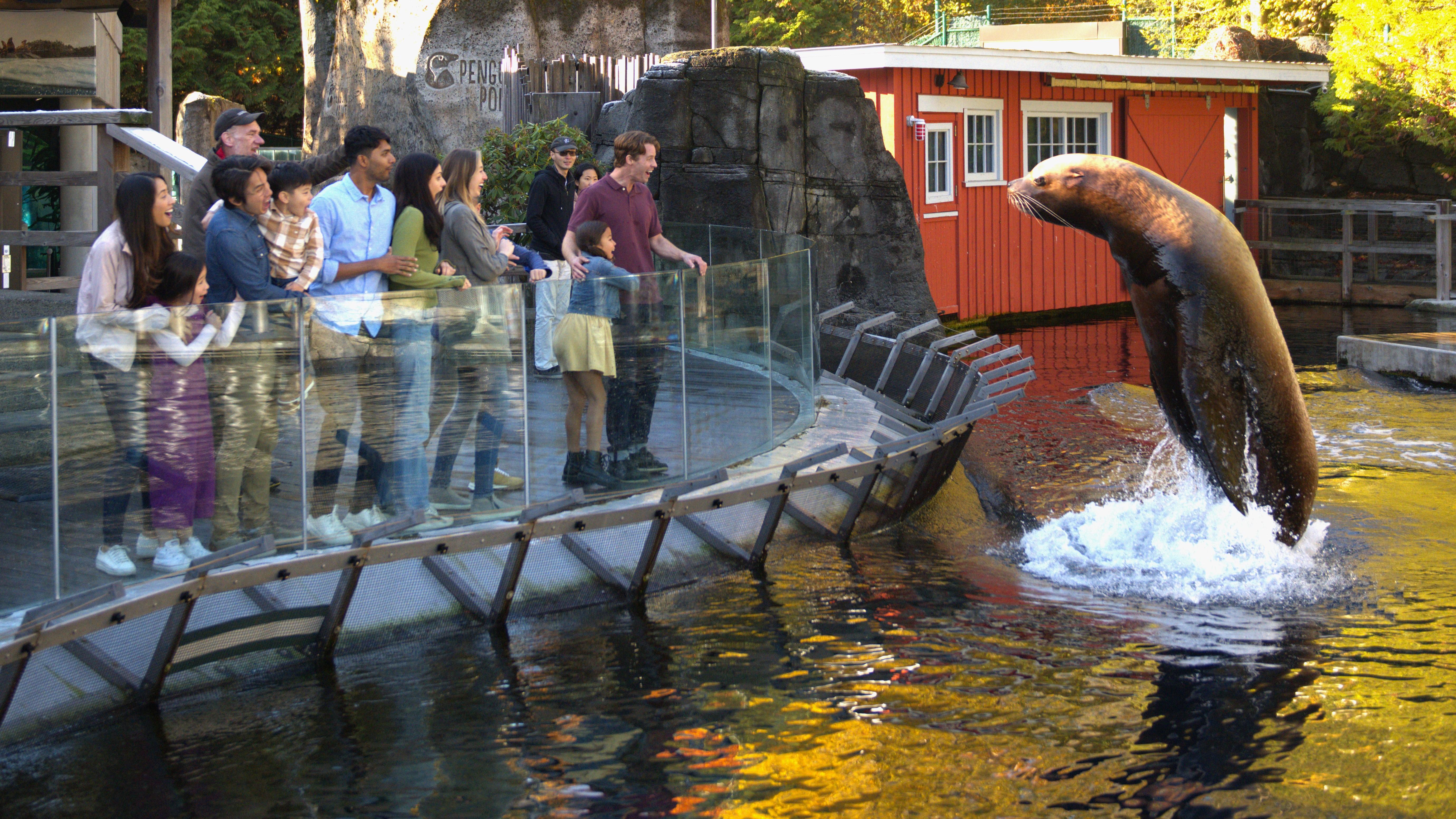 バンクーバー水族館 優先入場チケット