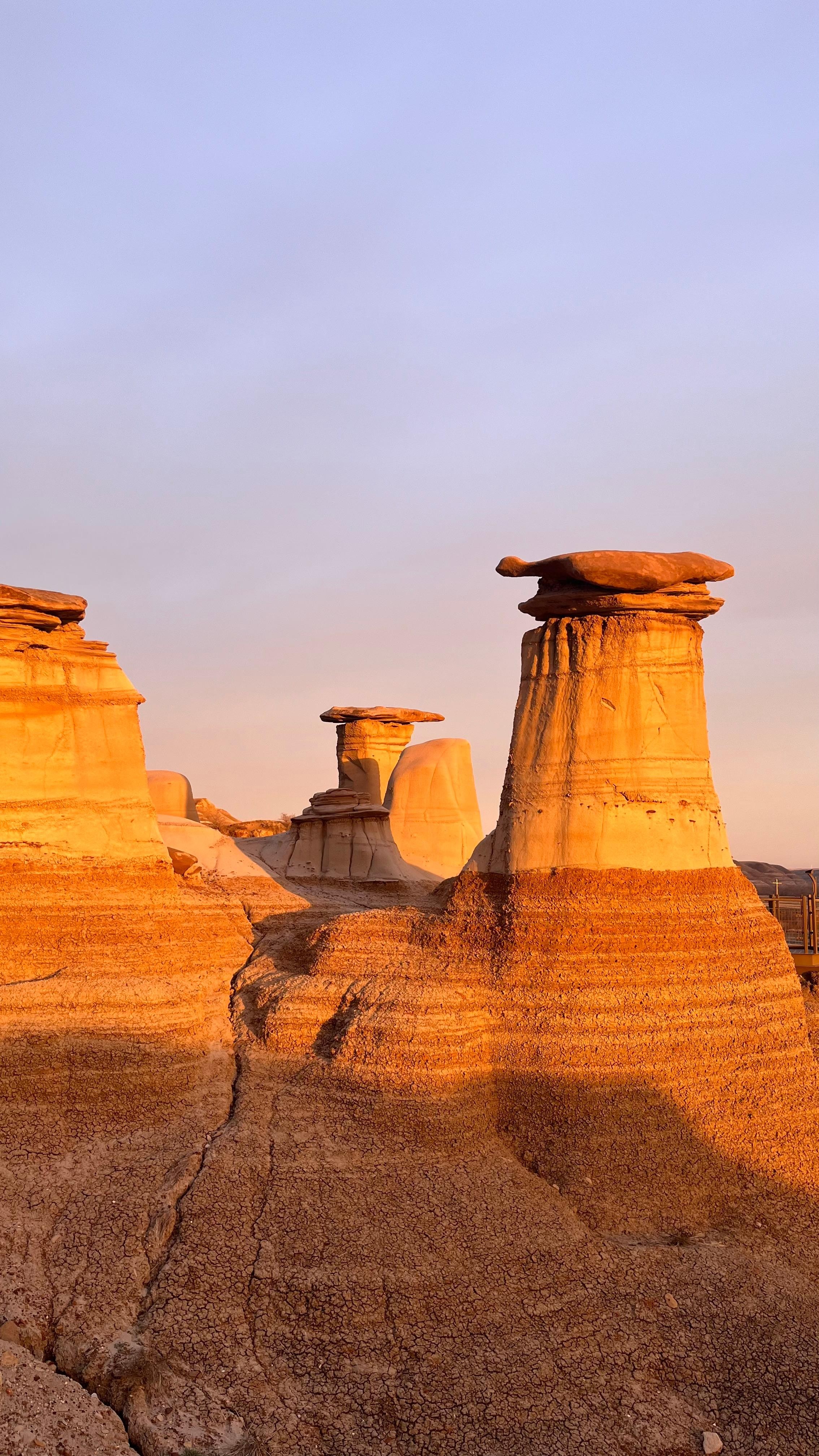 From Calgary: Drumheller Royal Tyrrell Museum & Hoodoos Day Tour - Admission Included