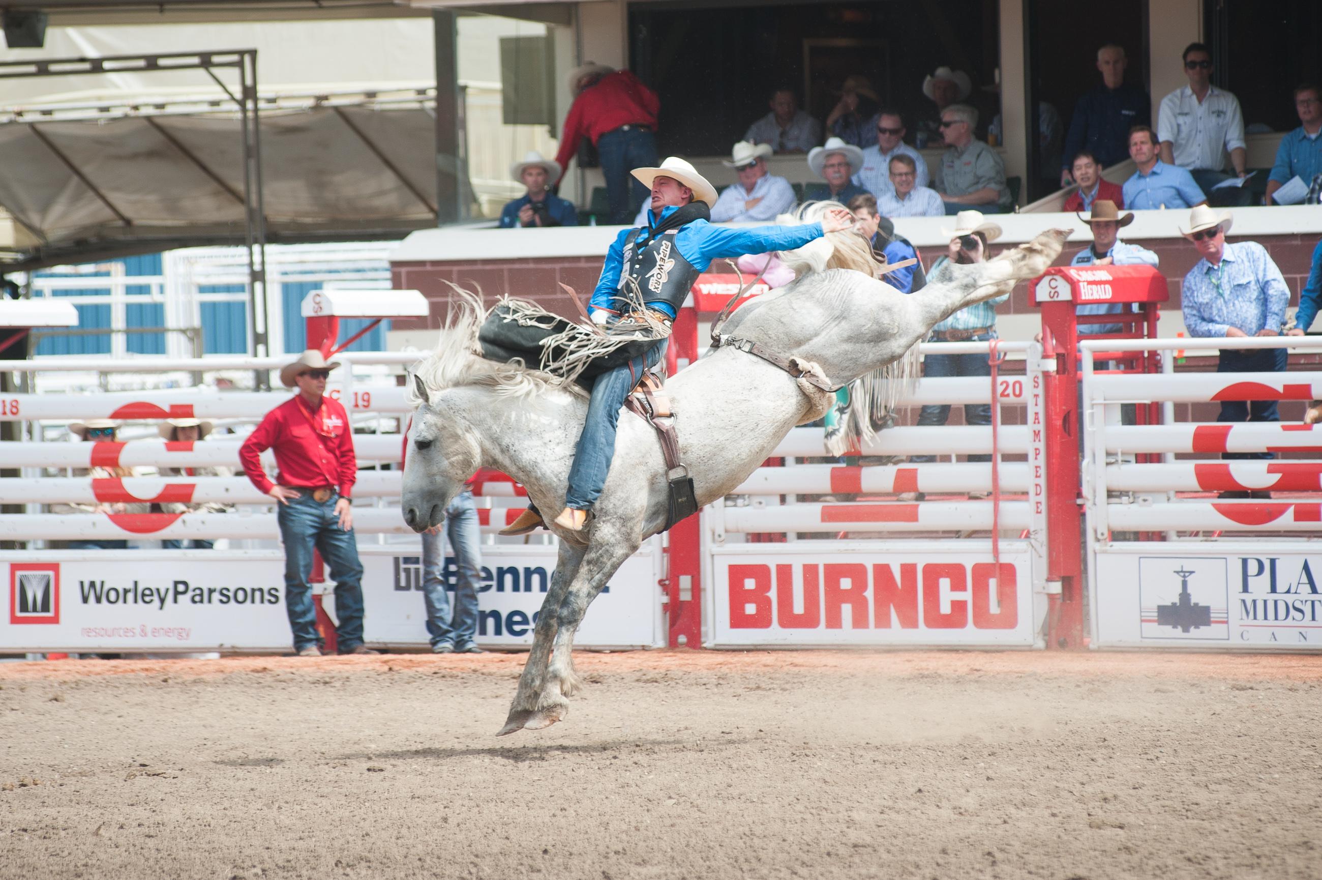 Calgary Stampede Afternoon Rodeo Ticket