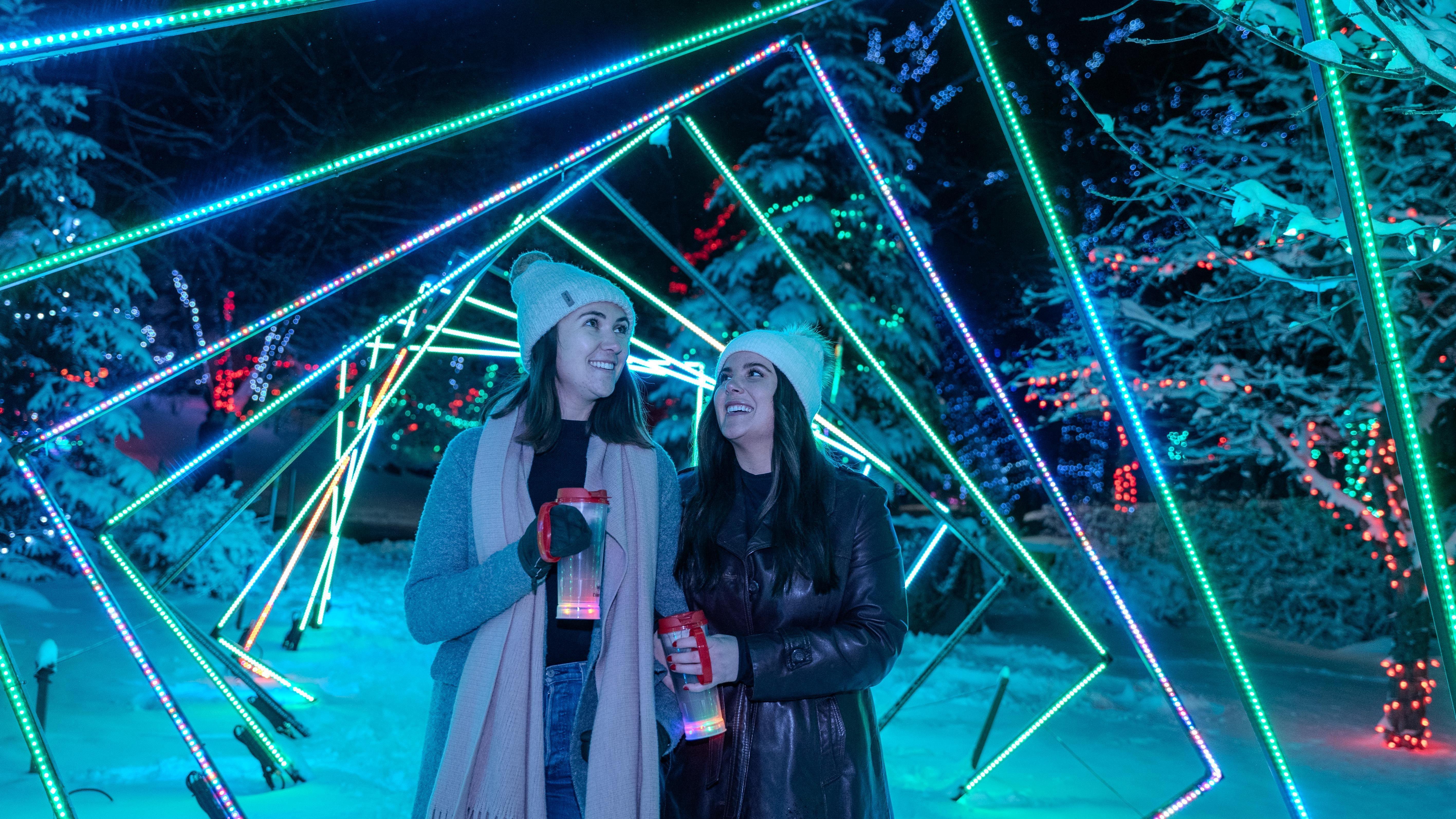 Calgary Zoo ZOOLIGHTS Winter Light Festival Ticket