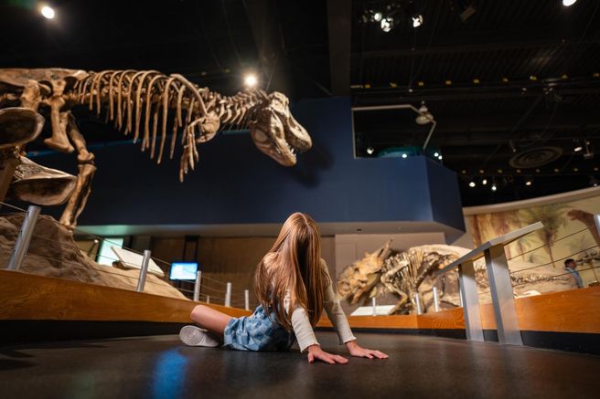 From Calgary: Drumheller Royal Tyrrell Museum & Hoodoos Day Tour