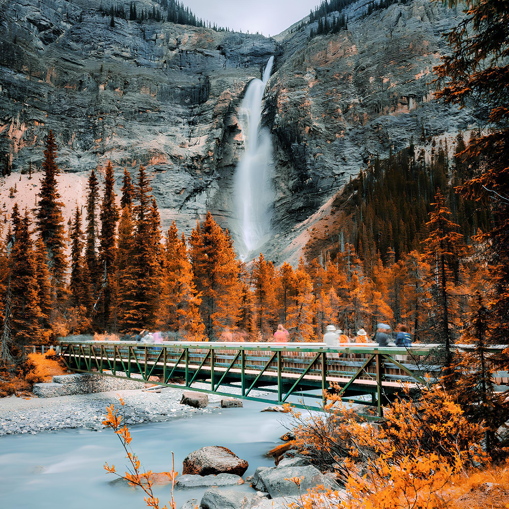 From Calgary and Banff: Yoho National Park Emerald Lake, Wapta and Takakkaw Falls Tour