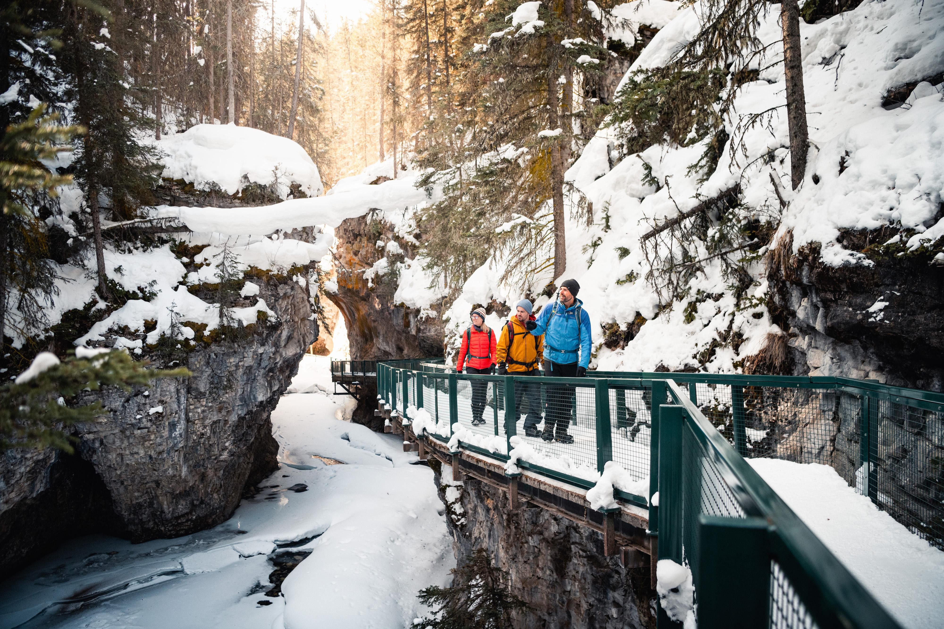 Banff Johnston Canyon Frozen Waterfalls Icewalk - Small Group