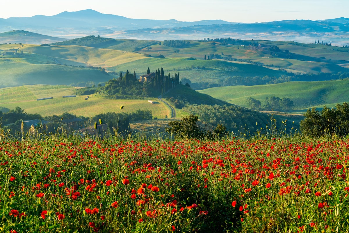 Tuscany Day Trip from Rome: Montepulciano & Pienza - Winery Lunch & Wine Tasting