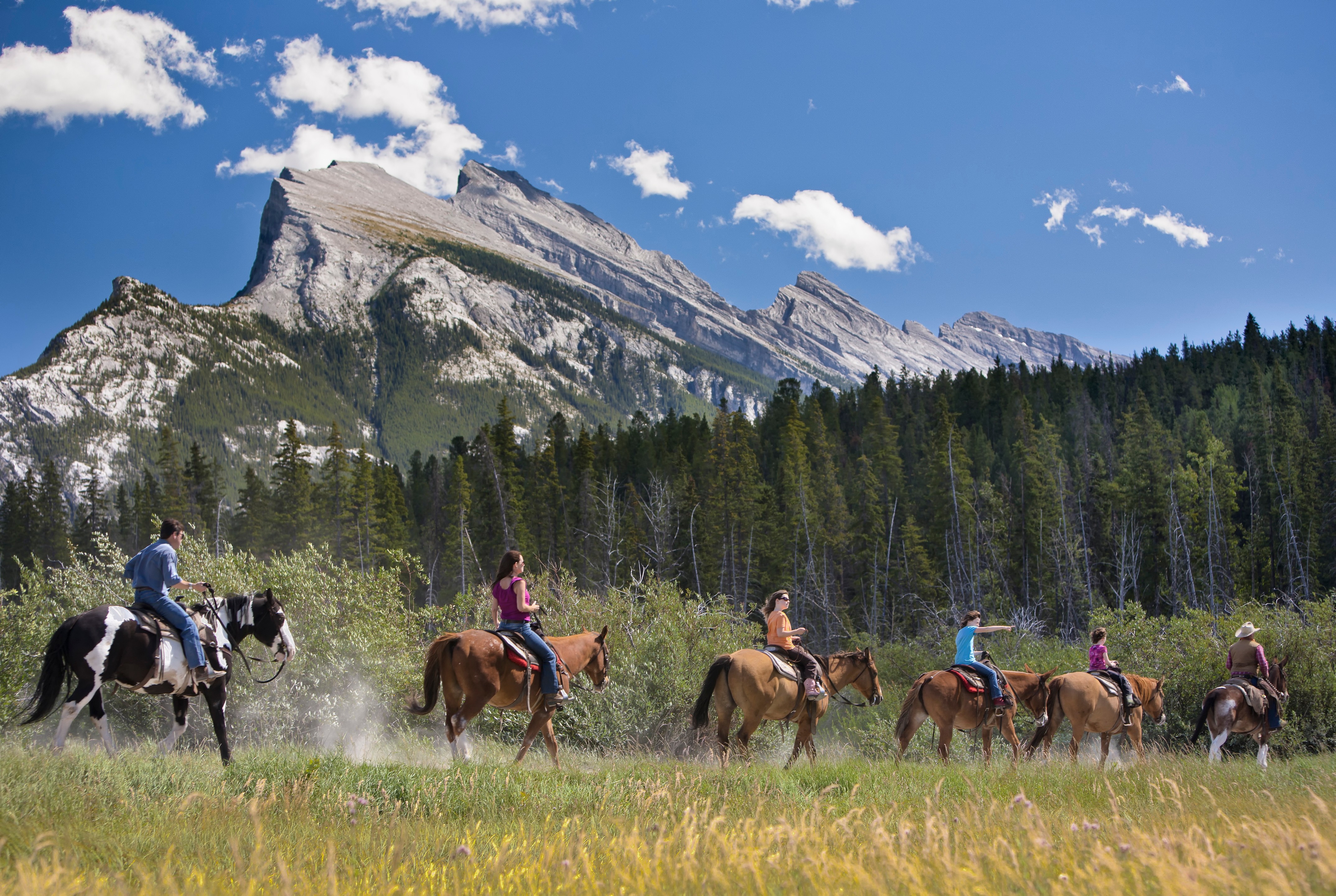 Banff National Park Bow Valley Horseback Riding Tour - Small Group